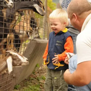 Pet Zoo